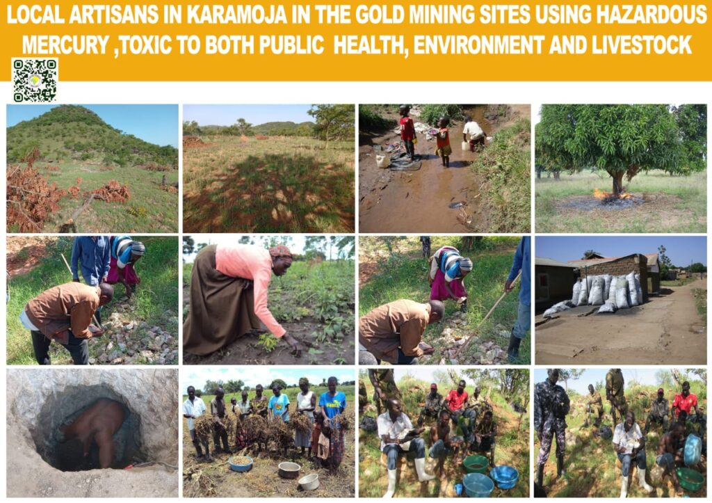 SAF-TESO Fieldwork Photo